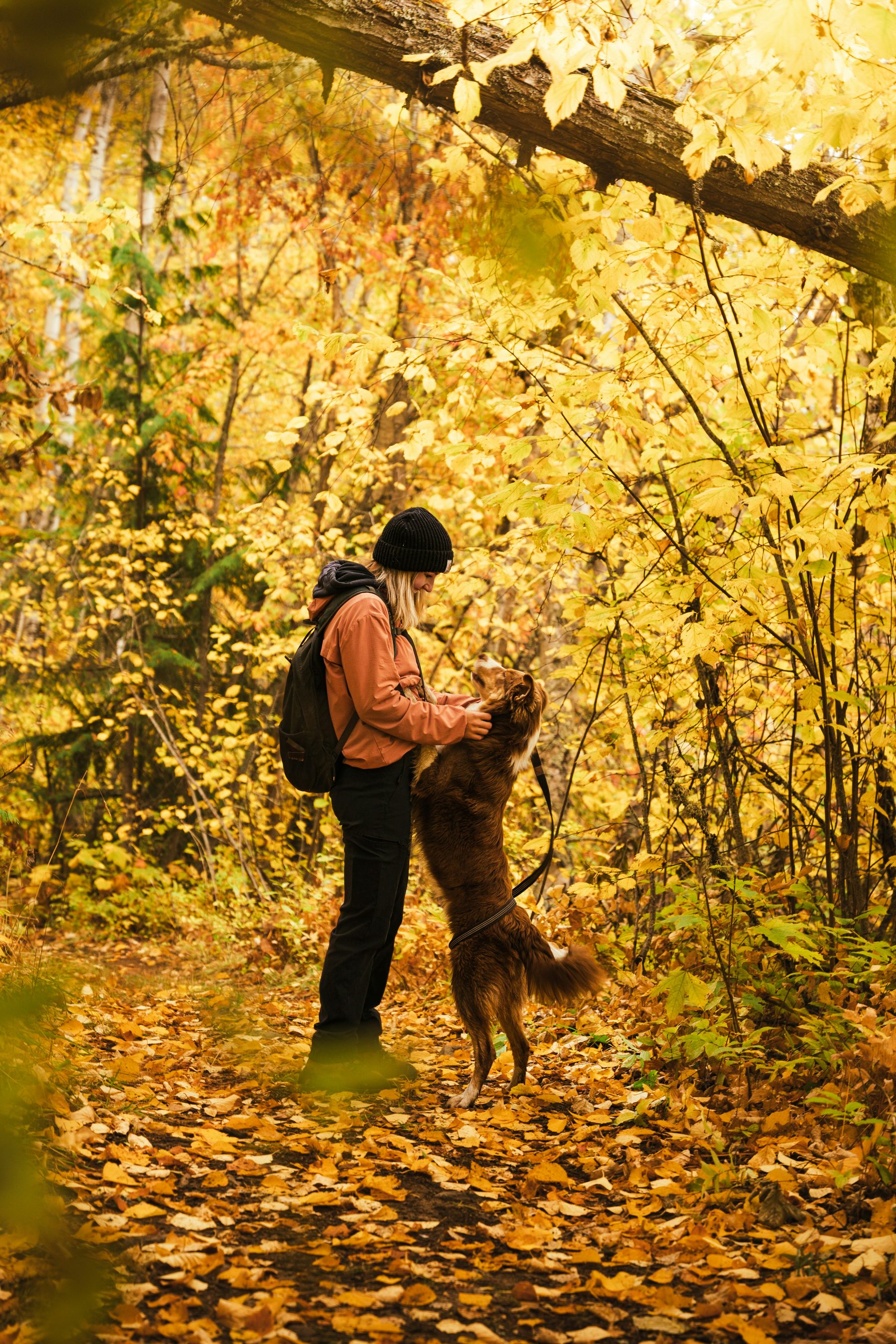 A woman on an autumn trail with her dog jumping up to greet her