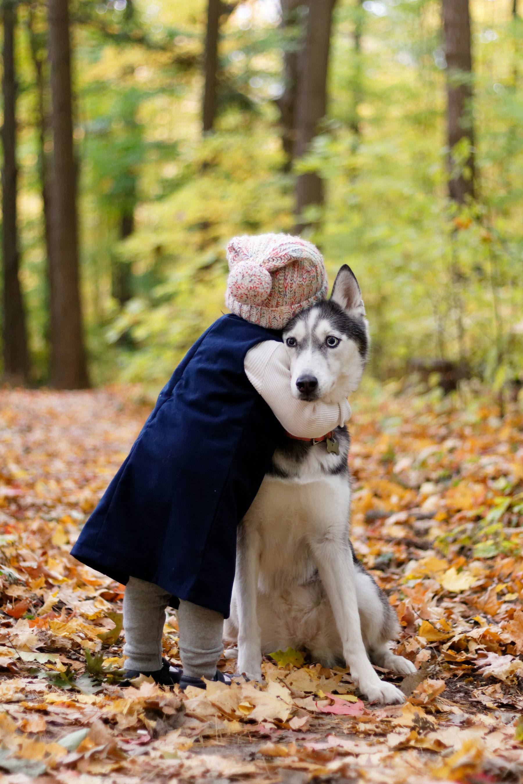 A toddler hugging their dog on an autumn forest trail